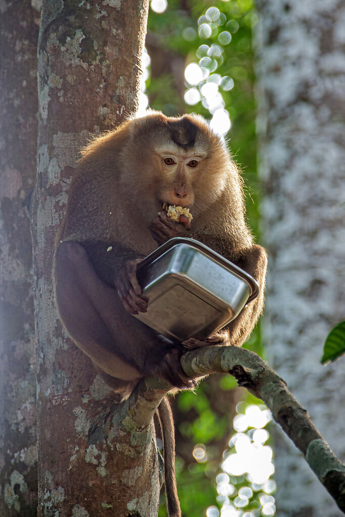 Khao Yai National Park