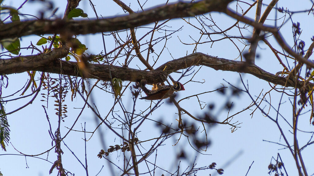 Khao Yai National Park