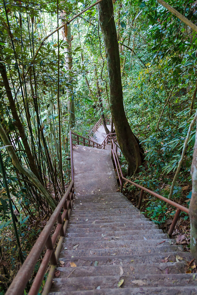 Khao Yai National Park