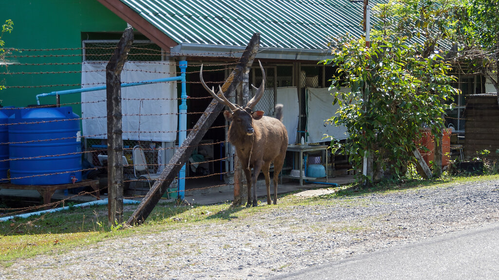 Khao Yai National Park