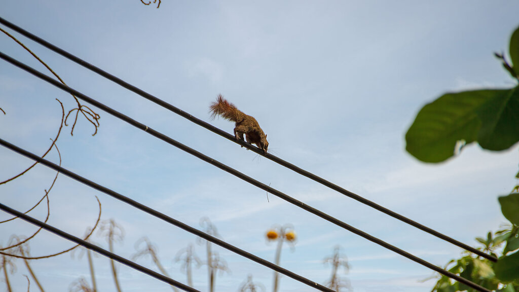 Suspension bridge (Orange bridge) // สะพานแขวน (สะพานส้ม)