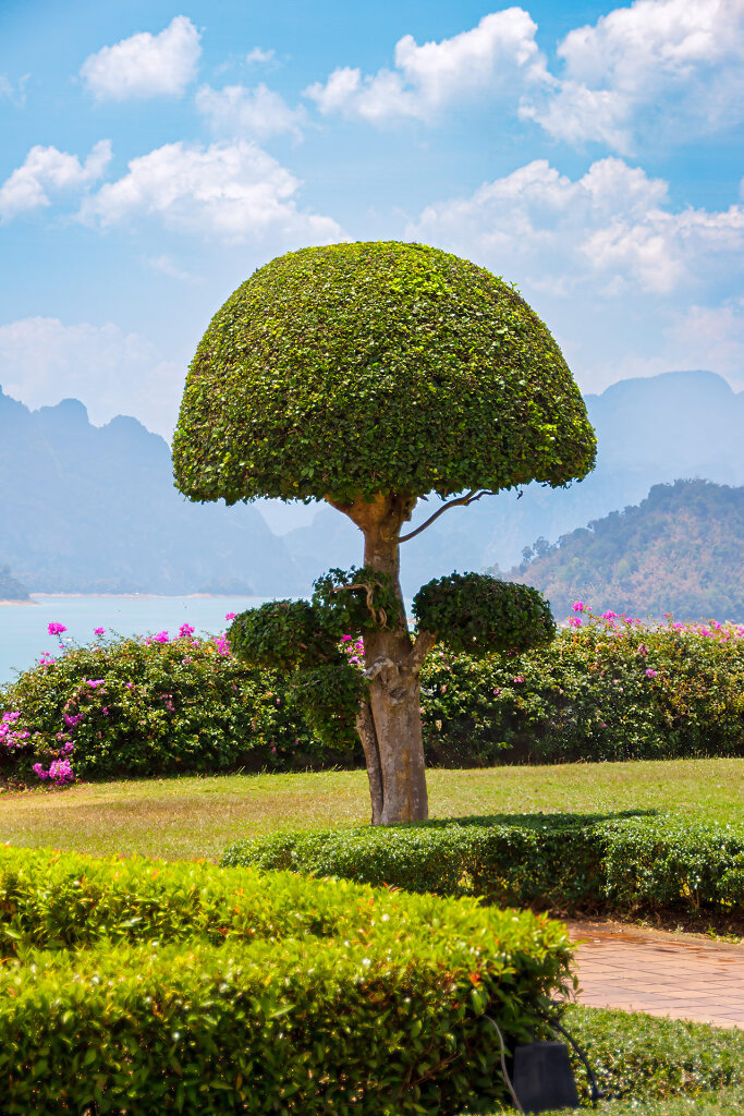 Chiew Larn Lake View Point