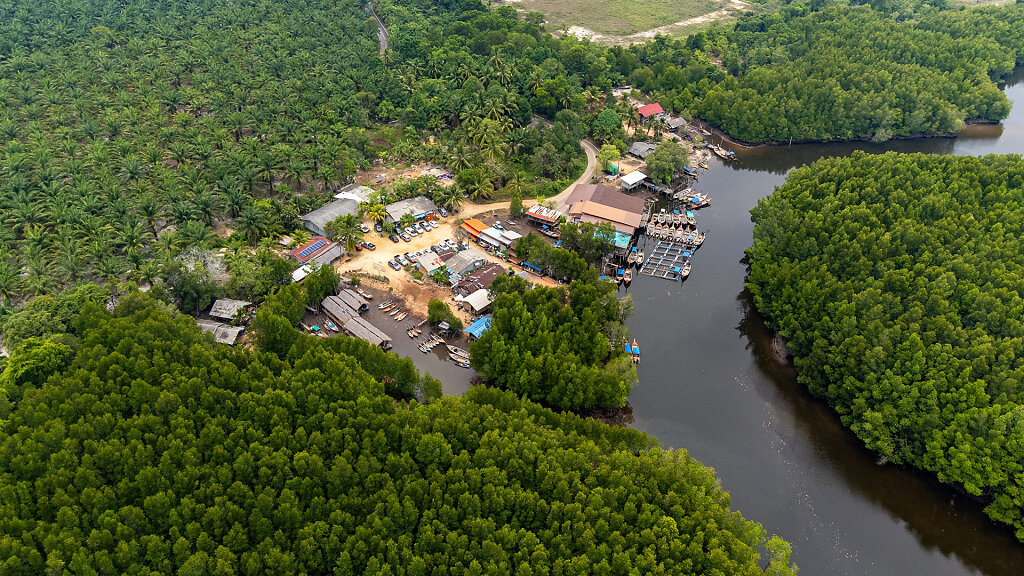 Ban Nam Rap Mangrove Forest