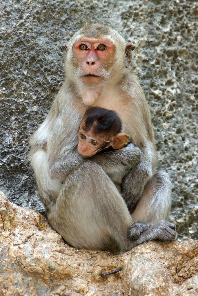 Khao Yoi Cave