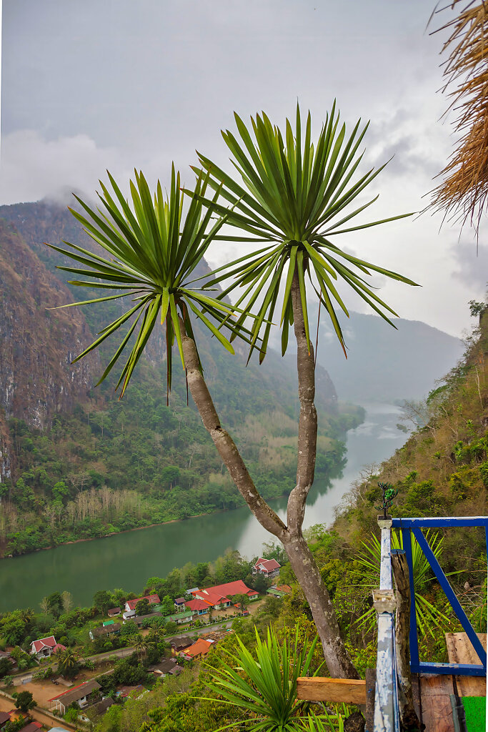 20230513-151435-THAI0855-HDR.jpg